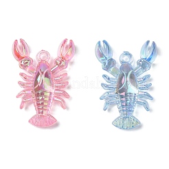 Гальваническое прозрачное уф-покрытие акриловые большие подвески&nbsp;OACR-I014-10