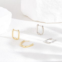 10 пара двухцветных латунных серег-колец&nbsp;EJEW-UN0003-09