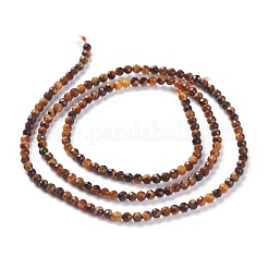 Естественный желтый тигровый глаз бисер нитей&nbsp;LS-G-A026-A15-2mm