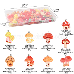 32шт 9 стиля подвески из смолы&nbsp;RESI-FS0002-30