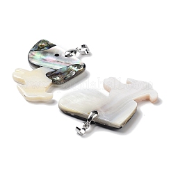 Натуральная ракушка пауа&nbsp;FIND-A041-02B-P