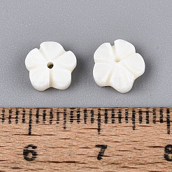 Резные бусины из натуральных пресноводных ракушек&nbsp;SHEL-N038-36