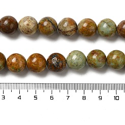 Натуральные бусины из желтой хризоколлы&nbsp;G-H298-A07-05