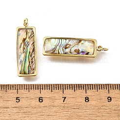 Подвески из натуральной ракушки пауа и эпоксидной смолы&nbsp;KK-E794-02G-07