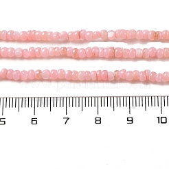 Нити бусин из натуральных пресноводных ракушек&nbsp;SHEL-P017-01B-09