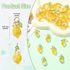 40 шт. 2 стиля подвески из стекла и акрила&nbsp;PALLOY-CJ00173