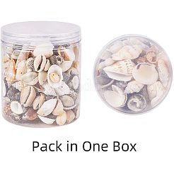 Смешанные наборы бусин из натуральных ракушек&nbsp;BSHE-PH0003-03