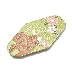 Большие подвески из сплава эмали с изображением двенадцати созвездий&nbsp;ENAM-D305-06D-G