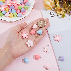 60шт 3 стиля непрозрачные подвески из смолы&nbsp;FIND-SC0036-62