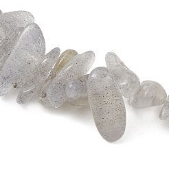 Браслеты из натурального лабрадорита с бусинами для мужчин и женщин&nbsp;BJEW-JB12086-02