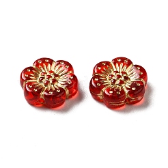 Прозрачных бусин акриловые покрытия&nbsp;OACR-L013-024