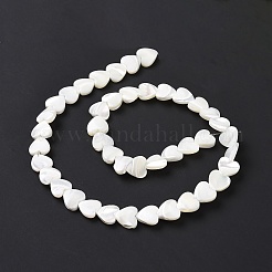 Нити бусин из натуральной ракушки трохус&nbsp;SSHEL-H070-06C