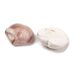 Натуральные кабошоны из ракушек глаз Шивы&nbsp;LS-SHEL-H006-01B