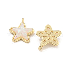 Подвески из полупрозрачной смолы&nbsp;KK-M291-24C