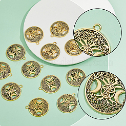 40 шт. подвески из полого сплава в тибетском стиле&nbsp;TIBEP-FH0001-29AG