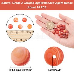 Натуральный сорт полосатый агат / полосатый агат&nbsp;G-AR0003-12