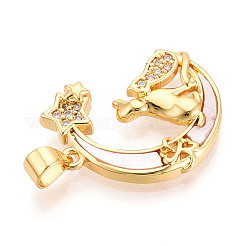 Латунные микропаве прозрачные подвески с фианитом&nbsp;KK-N268-27G