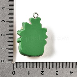 Подвески из непрозрачной смолы&nbsp;CRES-D307-08P-B