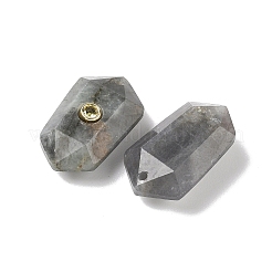 Ограненные подвески из натурального лабрадорита&nbsp;G-B151-02G