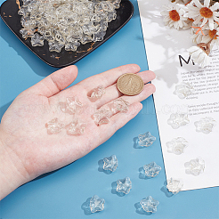 Прозрачные стеклянные бутылки для контейнеров для бусин&nbsp;AJEW-WH0596-151A