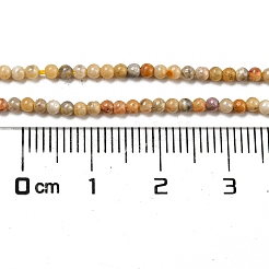 Натуральные сумасшедшие кружевные агатовые бусины&nbsp;X-G-A130-2mm-K10