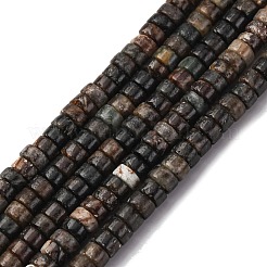 Природного биотита нитей бисера&nbsp;G-L624-I12-2x4mm