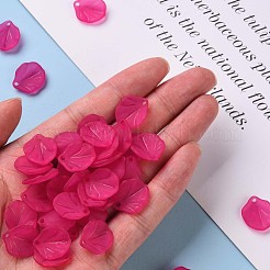 Прозрачные матовые акриловые подвески&nbsp;MACR-S371-02A-706