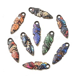 24шт 12 цвета подвески из цинкового сплава&nbsp;FIND-CJ0005-14