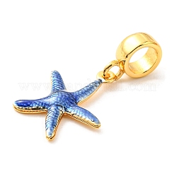 Латунные эмалированные европейские подвески с подвесками&nbsp;KK-M247-11G-02