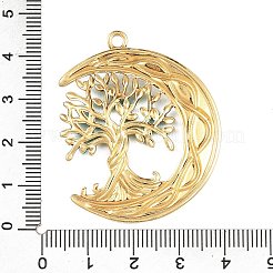 Подвески из нержавеющей стали 304 с эмалью&nbsp;STAS-Z186-05G