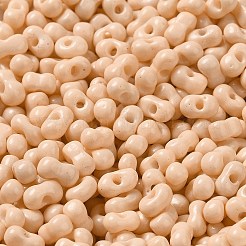 Выпечка краска стеклянные бусины&nbsp;SEED-K009-01A-21