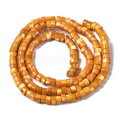 Нити бусин из натуральной ракушки трохус&nbsp;LS-SHEL-S278-027F