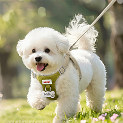 50шт 5 цвета подвески из нержавеющей стали&nbsp;STAS-WA0001-01