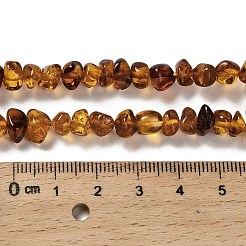 Янтарные шарики нити&nbsp;G-L095-L01-02