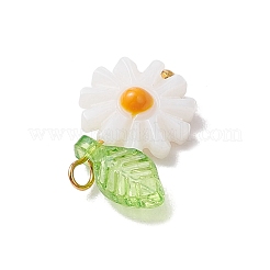 4 шт. 4 стиля подвески из натуральной пресноводной ракушки с эмалью&nbsp;PALLOY-JF03480