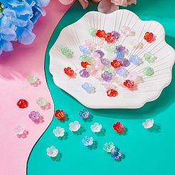 240 шт. 6-цветный УФ-покрытие для акриловых бусин&nbsp;OACR-TA0002-94