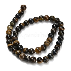 Природных тигровый глаз бисер нитей&nbsp;G-F591-18-8mm-08
