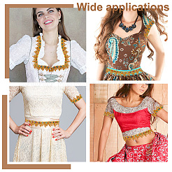 15 ярд филигранной гофрированной кружевной ленты&nbsp;OCOR-WH0077-81