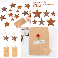 Звездная ржавчина железо большие подвески&nbsp;IFIN-GF0001-10B