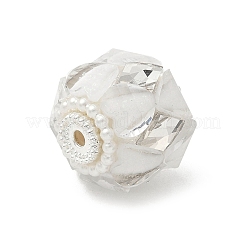 Прозрачные акриловые бусины&nbsp;CLAY-NH0003-04S