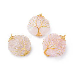 Природного розового кварца подвески&nbsp;G-E564-02A-G