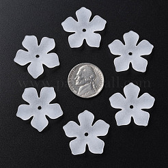 Прозрачные акриловые бусины&nbsp;MACR-S373-119-D01