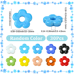 30шт ручной работы бусины лэмпворк&nbsp;LAMP-SC0001-57