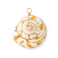 Подвески из натуральной ракушки-глаза Шивы&nbsp;PALLOY-TA00185