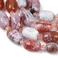 Природные пожары треск агат бисер нитей&nbsp;G-K393-G02-12x16