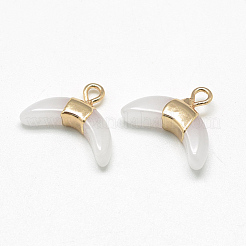 Натуральные / синтетические подвески&nbsp;G-Q494-40