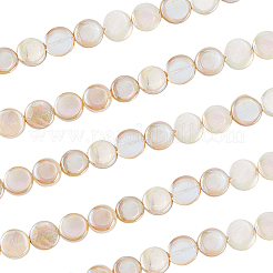 4 нити гальванизированных натуральных пресноводных ракушек&nbsp;SHEL-SC0001-78