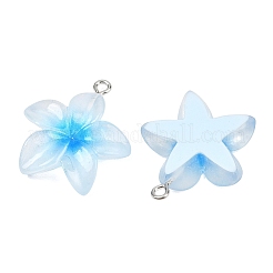 Прозрачные смоляные подвески&nbsp;RESI-P048-01P