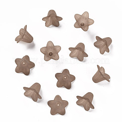 Прозрачные акриловые бусины&nbsp;PLF018-14