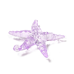 Прозрачные акриловые подвески&nbsp;TACR-P003-05